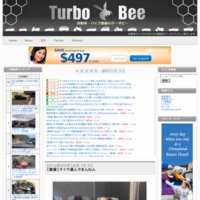 Turbo Bee